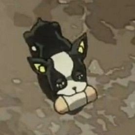 OtrofandejojosM's profile picture. yo duermo en una litera, abajo duermo yo y arriba los jojos