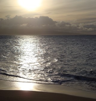 RayleneTaylor's profile picture. Teacher, gardener, crafter and wonderer...