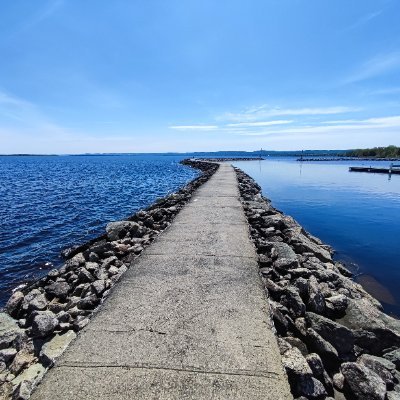 Flohthemaster's profile picture. 