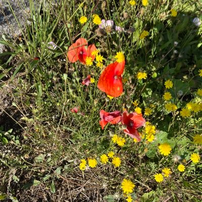 Mina20241's profile picture. Avid traveller and global citizen