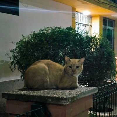 user150114357's profile picture. 