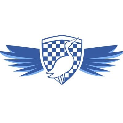 UAHMotorsport's profile picture. Official Account of UAH Motrorsport (Madrid). "Working hard for something you love it`s called passion" 💙🤍⚡ This is #AllHeart, #AllAction, #AllMotorsport.