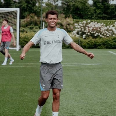 SpursHomeaway's profile picture. Banter account not taking anything serious