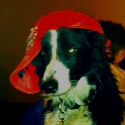 Mantitsucker's profile picture. 19 || proud father || I’m kinda like if your girlfriend was a stray dog || I ❤️women || ask to see my tramp stamp