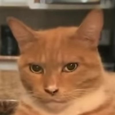 BuliaSalmi91061's profile picture. 