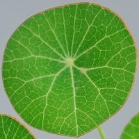 Streamlined Biz (@streamlinedbiz) 's Twitter Profile Photo Streamlined Biz (@streamlinedbiz) 's Twitter Profile Photo