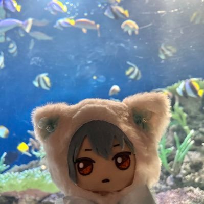 にのまるさんのプロフィール画像