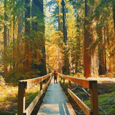 _MoraJon's profile picture. Leave me alone