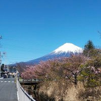 K.T (@komugi_h220526) 's Twitter Profile