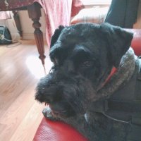 Provenance Press (@vardanthony) 's Twitter Profile