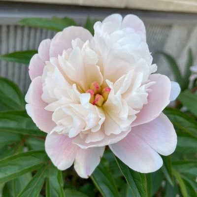 _yumiria's profile picture. 石川県民🔰 RT非表示推奨です。