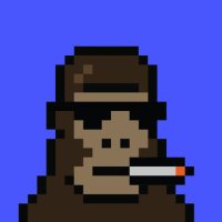 Punks on Base 🛡️ (@punks_based) 's Twitter Profile