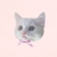 ゆきねこ* (@yu__kiii_) 's Twitter Profile Photo ゆきねこ* (@yu__kiii_) 's Twitter Profile Photo