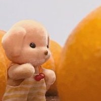 みかん缶☺︎ 11m(5/17)🍊 (@micancanmi) 's Twitter Profile