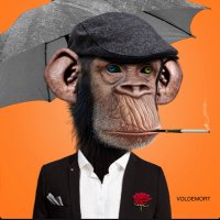 SPACELESS (@voldemort2x) 's Twitter Profile