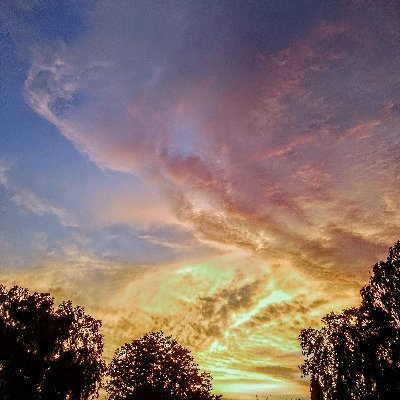 Fash_jhay's profile picture. @AirDAO_io governance profile.