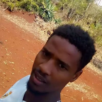 KedirNasir16424's profile picture. 