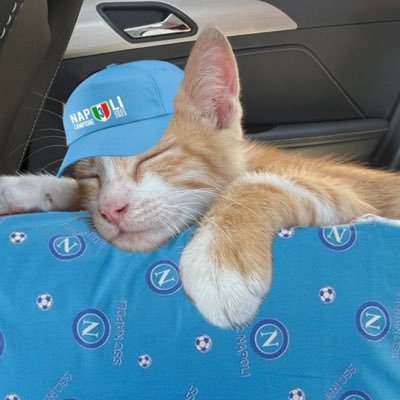 nomorebadvibess's profile picture. sporca terrona dodicenne || 𝟙𝟡𝟚𝟞 cercando di non tifare più napoli