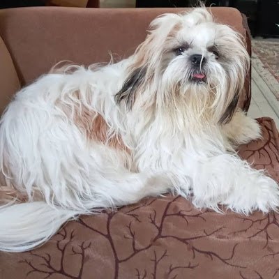 Marshaleeialati's profile picture. 