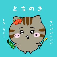 とちの木 (@tochiii_nokiii) Twitter profile photo
