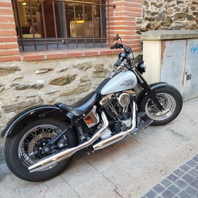 Taregami's profile picture. Ignorant esfèric.