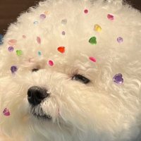 pp ( chubchubtengbabe ) (@snappbypp) 's Twitter Profile Photo pp ( chubchubtengbabe ) (@snappbypp) 's Twitter Profile Photo
