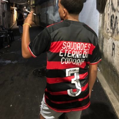 vivo somos traídos,preso esquecidos ,morto so deixamos saudades..💭 indiozin bebel codorna amo vocês meus irmãos ❤️😓