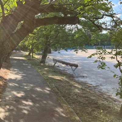 Gz4ShKC94X26503's profile picture. 