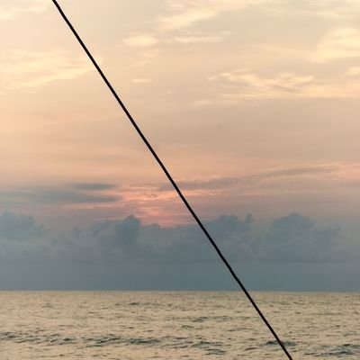 P_PP_PPP_C's profile picture. ^·^🖤