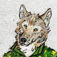 Bamboo Dog (@machilus9892) 's Twitter Profile