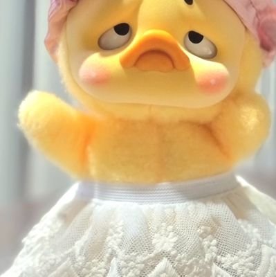 fotolovelove's profile picture. 