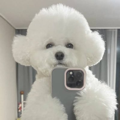 age_si2's profile picture. @A_G_E_official