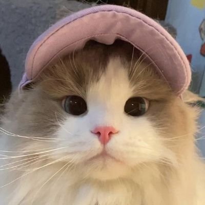 kooskittyy's profile picture. love my seven