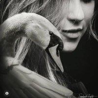 TE (@ta_h67994421) 's Twitter Profile