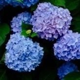 いちみさんのプロフィール画像