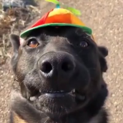 hellobroimcrin's profile picture. 
