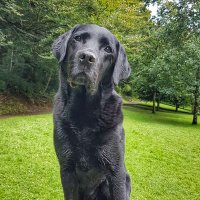 (Not) Posh Dave (@tringonometry) 's Twitter Profile Photo (Not) Posh Dave (@tringonometry) 's Twitter Profile Photo