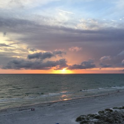 ann70941's profile picture. 