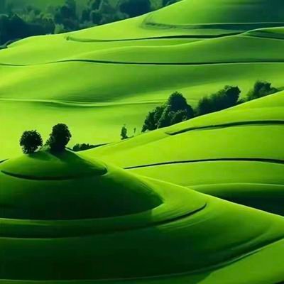 billcxp's profile picture. wnm