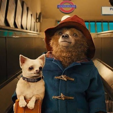 Hugo_Cardi's profile picture. 