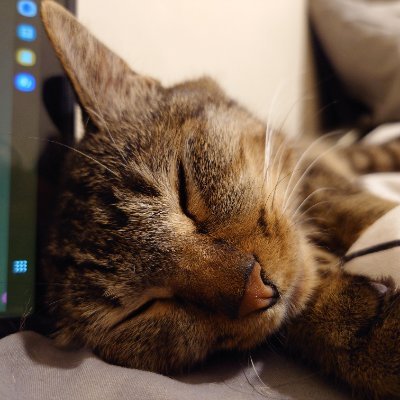 ywtwwwwww30854's profile picture. 日本語勉強中です

HN: ナオ

モンハン、ポケモン、軌跡シリーズ大好きのゲーヲタ

よろしくお願いします!