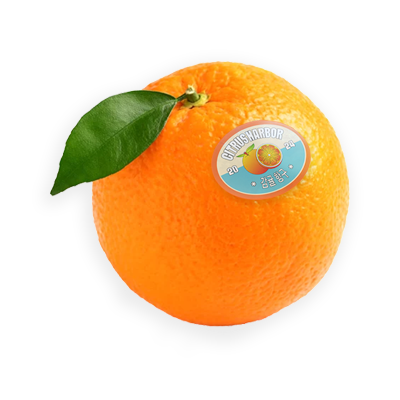 감귤 항구 is CLOSED! Profile