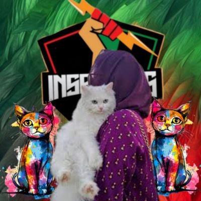 mishikhxn's profile picture. میرا دل ہے پاکستانی 🇵🇰
لیڈر صرف عمران خان 🇧🇫