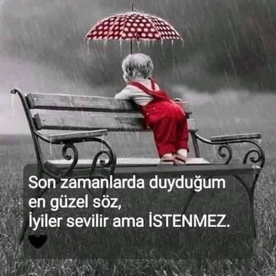 SelmanTrkmn38's profile picture. 