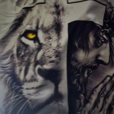 JasonT1418844's profile picture. CONSTITUTIONAL CONSERVATIVES PROUD MAGA PATRIOT MARRIED    CHIEFS KINGDOM