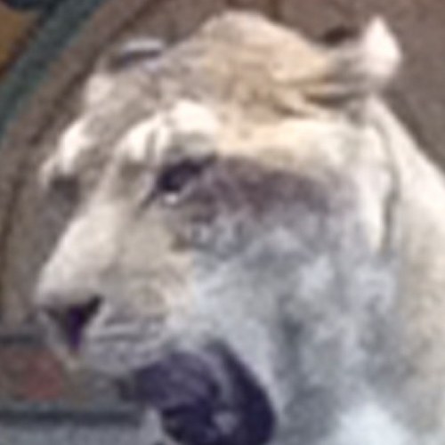 JessicaWale13's profile picture. 