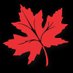 Kashmir Pulse (@kashmirpulse) Twitter profile photo Kashmir Pulse (@kashmirpulse) Twitter profile photo