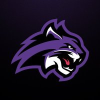 Wiley University Softball (@wileyusoftball) 's Twitter Profile