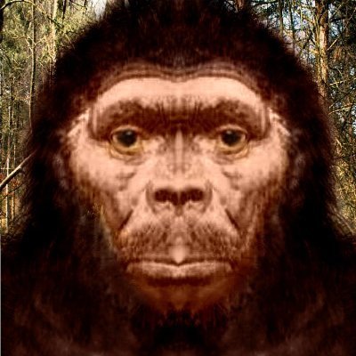 Sharing personal accounts from the BBR Investigation case files on the British Bigfoot, Man-Ape creatures, Werewolves & Dogmen, Paranormal Entities, UFO's