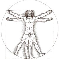 Brandon (@__vitruvianman) 's Twitter Profile